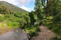 Rio Estena en la ruta de El Acebo y Las Fuentes, con la sierra de “Majalaburra” detrás, recuperada de su incendio en 2012. Rio Estena en la ruta de El Acebo y Las Fuentes, con la sierra de “Majalaburra” detrás, recuperada de su incendio en 2012.