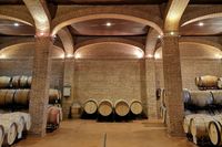 Una experiencia única para descubrir el proceso de elaboración de nuestros vinos de pago, desde el viñedo hasta la copa.