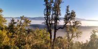 Sierras del Parque Nacional de Cabañeros con niebla en los valles y cumbres asomando por encima. Sierras del Parque Nacional de Cabañeros con niebla en los valles y cumbres asomando por encima.