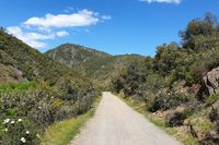 Camino hacia la entrada al Parque Nacional de Cabañeros, paralelo al arroyo del Chorrillo (a la izquierda abajo). Camino hacia la entrada al Parque Nacional de Cabañeros, paralelo al arroyo del Chorrillo (a la izquierda abajo).