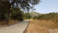 Camino adaptado de madera, paralelo al río Estena, en el Área recreativa del Acebo.